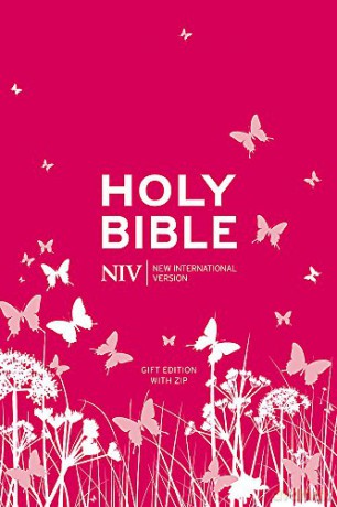 NIV Pocket Bible (Pink Soft-tone with Zip) [KSIĄŻKA]