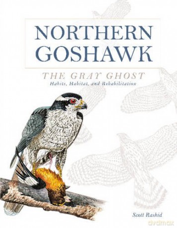 Northern Goshawk, the Gray Ghost: Habits, Habitat, and Rehabilitation - Scott Rashid [KSIĄŻKA]