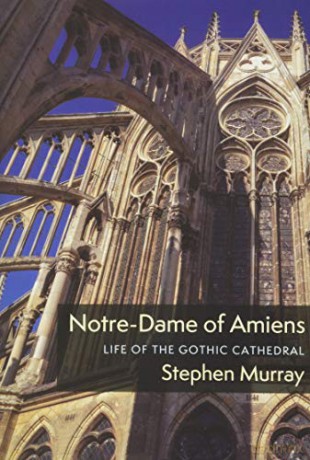 Notre-Dame of Amiens: Life of the Gothic Cathedral (Columbiana) - Stephen Murray [KSIĄŻKA]