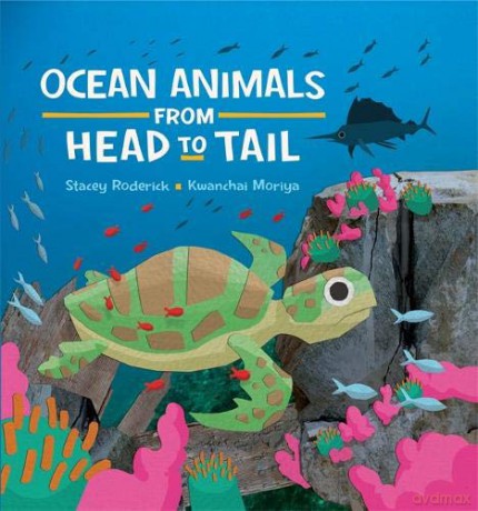 Ocean Animals from Head to Tail - Stacey Roderick [KSIĄŻKA]