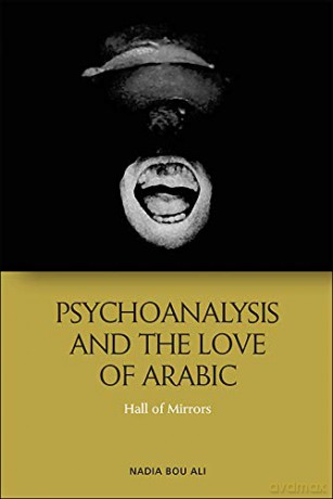 Psychoanalysis and the Love of Arabic: Hall of Mirrors [KSIĄŻKA]