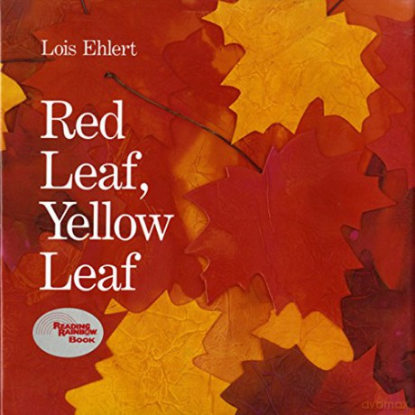 Red Leaf, Yellow Leaf - Lois Ehlert [KSIĄŻKA]