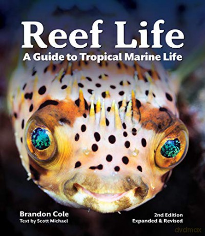 Reef Life: A Guide to Tropical Marine Life - Michael Scott [KSIĄŻKA]