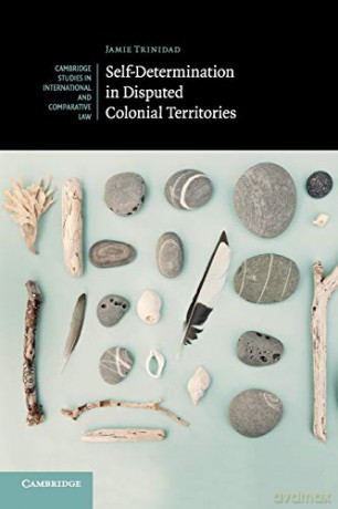 Self-Determination in Disputed Colonial Territories: 134 (Cambridge Studies in International and Comparative Law, Series Number 134) - Jamie Trinidad [KSIĄŻKA]