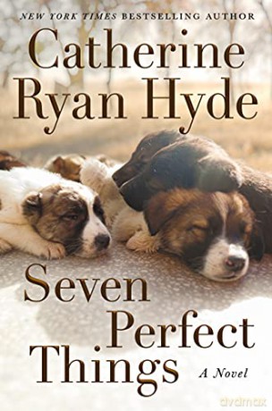 Seven Perfect Things: A Novel - Catherine Ryan Hyde [KSIĄŻKA]