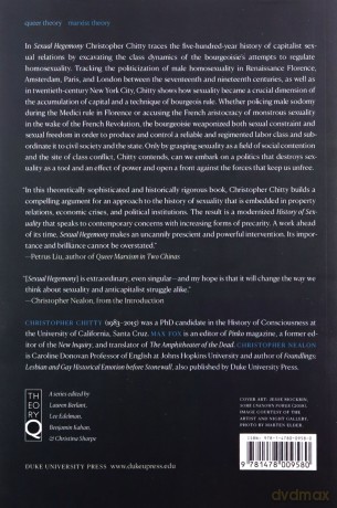 Sexual Hegemony: Statecraft, Sodomy, and Capital in the Rise of the World System (Theory Q) [KSIĄŻKA]