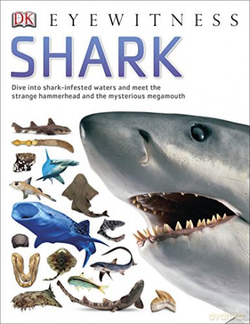 Shark (DK Eyewitness) [KSIĄŻKA]