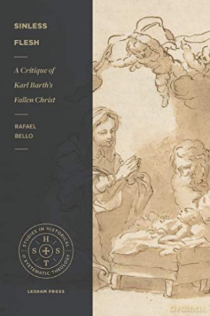 Sinless Flesh: A Critique of Karl Barth's Fallen Christ (Studies in Historical and Systematic Theology) [KSIĄŻKA]