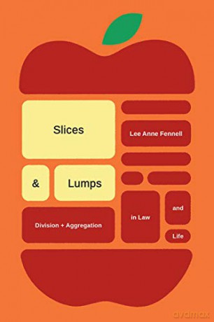 Slices and Lumps: Division and Aggregation in Law and Life - Lee Anne Fennell [KSIĄŻKA]
