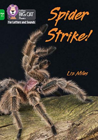 Spider Strike!: Band 05/Green (Collins Big Cat Phonics for Letters and Sounds - Age 7+) - Liz Miles [KSIĄŻKA]