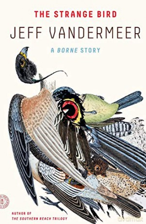 Strange Bird - Jeff Vandermeer [KSIĄŻKA]