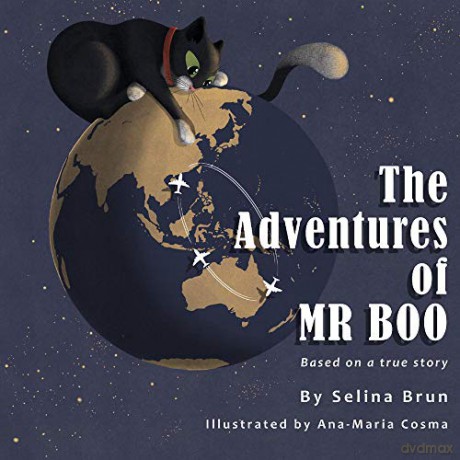 The Adventures of Mr Boo - Ana-Maria Cosma Selina Brun [KSIĄŻKA]