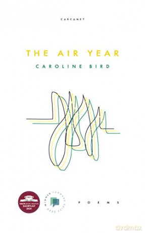 The Air Year [KSIĄŻKA]