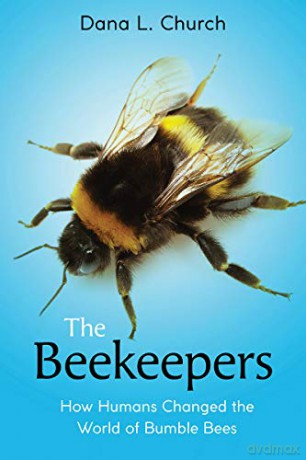 The Beekeepers: How Humans Changed the World of Bumble Bees (Scholastic Focus) - Dana L. Church [KSIĄŻKA]