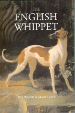 The English Whippet - E.G. Walsh [KSIĄŻKA]