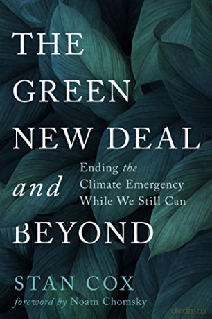 The Green New Deal and Beyond: Ending the Climate Emergency While We Still Can (City Lights Open Media) - Stan Cox [KSIĄŻKA]