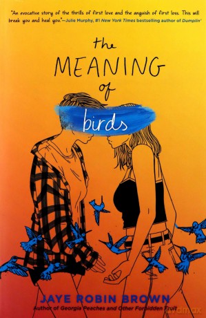 The Meaning of Birds - Jaye Robin Brown [KSIĄŻKA]