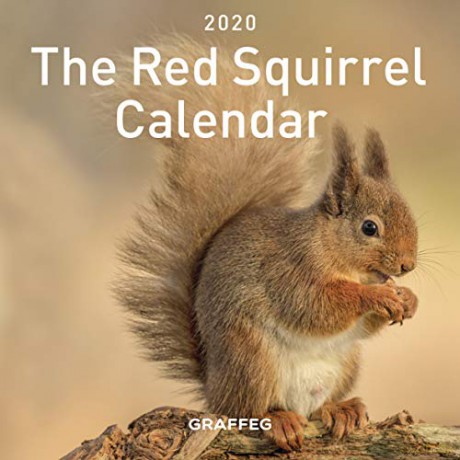 The Red Squirrel Calendar 2020 [KSIĄŻKA]
