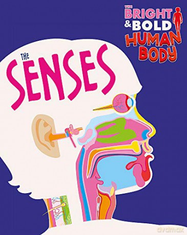 The Senses (The Bright and Bold Human Body) - Izzi Howell [KSIĄŻKA]