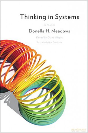 Thinking in Systems: International Bestseller [KSIĄŻKA]