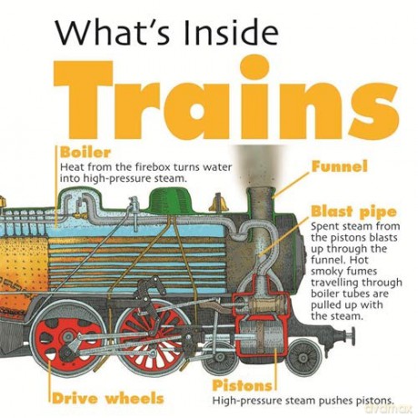 Trains (What's Inside) - David West [KSIĄŻKA]