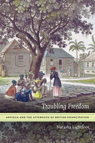Troubling Freedom: Antigua and the Aftermath of British Emancipation [KSIĄŻKA]