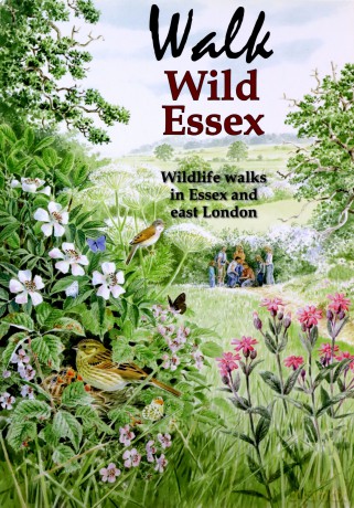 Walk Wild Essex: 50 Wildlife Walks in Essex and East London (Nature of Essex S.) - Tony Gunton [KSIĄŻKA]
