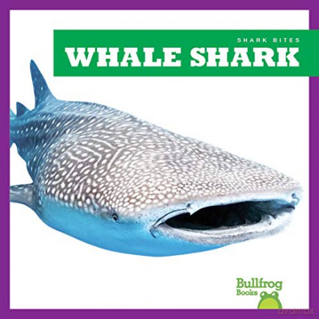 Whale Shark (Shark Bites) - Jenna Lee Gleisner [KSIĄŻKA]