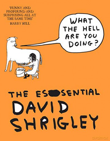 What The Hell Are You Doing: The Essential David Shrigley - David Shrigley [KSIĄŻKA]