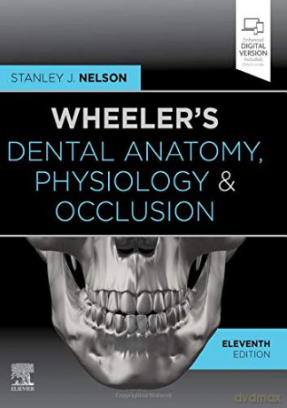 Wheeler's Dental Anatomy, Physiology and Occlusion: Expert Consult - Stanley J. Nelson DDS MS [KSIĄŻKA]