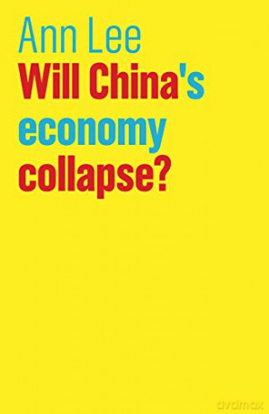 Will China's Economy Collapse (The Future of Capitalism) - Ann Lee [KSIĄŻKA]