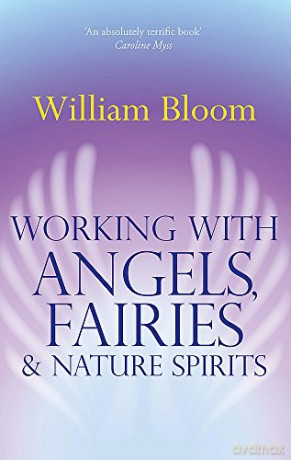 Working With Angels, Fairies And Nature Spirits - Dr. William Bloom [KSIĄŻKA]