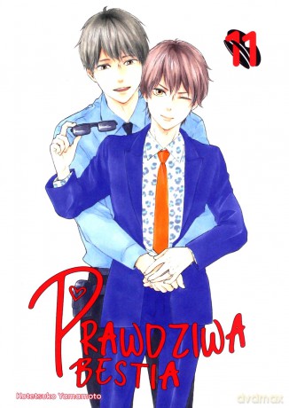 Prawdziwa bestia (Tom 11) - Kotetsuko Yamamoto [KOMIKS]