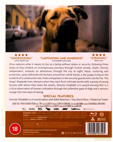Stray [Blu-Ray]