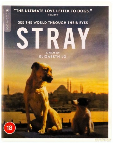 Stray [Blu-Ray]