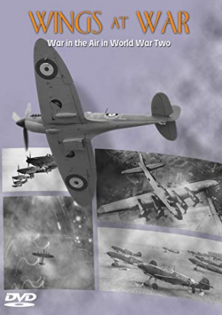Wings at War: War in the Air in WWII [DVD]