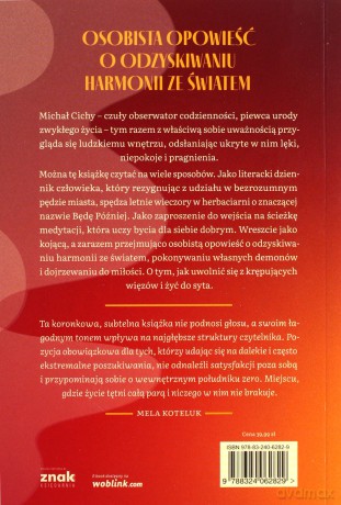 Do syta - Michał Cichy [KSIĄŻKA]