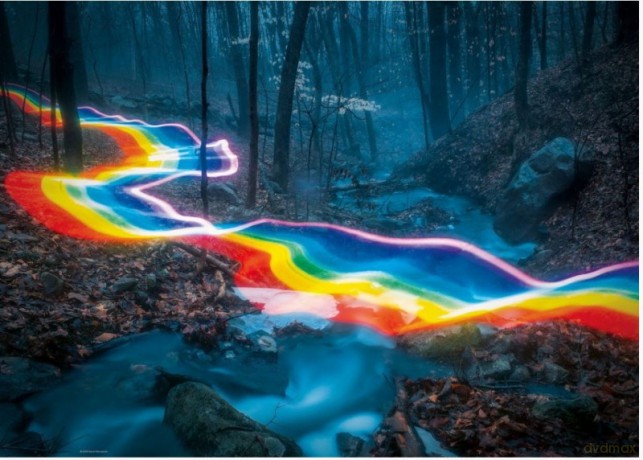 HEYE 1000 el. Magiczny las, Tęczowa droga [PUZZLE]
