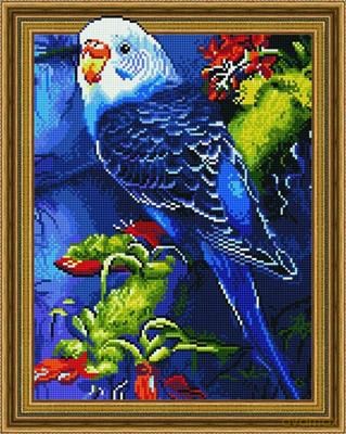 Diamentowa Mozaika 5D Papużka falista 40x50 cm