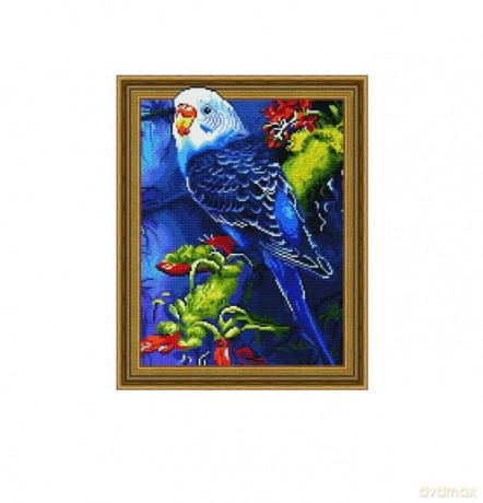 Diamentowa Mozaika 5D Papużka falista 40x50 cm