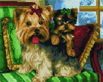 Diamentowa Mozaika Śmieszne yorki 40x50 cm