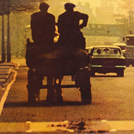 Ronnie Lane: Anymore For Anymore [Winyl]