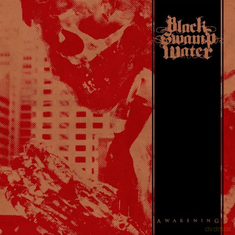 Black Swamp Water: The Awakening [Winyl]