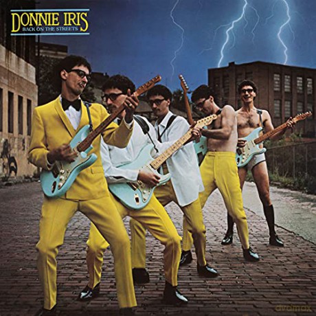 Donnie Iris: Back On The Streets [CD]