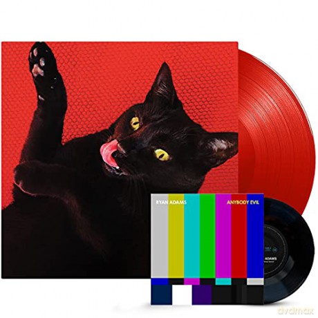 Ryan Adams: Big Colors [2xWinyl]