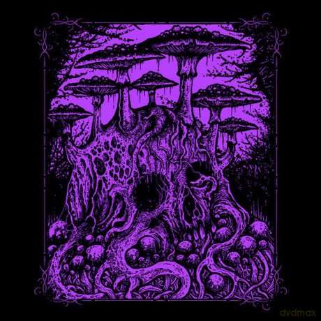 Vanhelga: Enfin Morte (Limited) [CD]