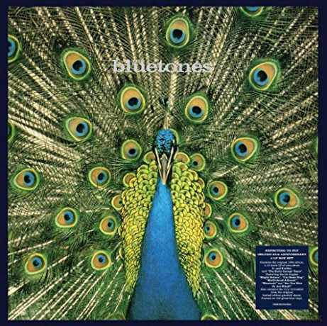 Bluetones: Expecting To Fly - 25th Anniversary Edition (Blue) [3xWinyl]