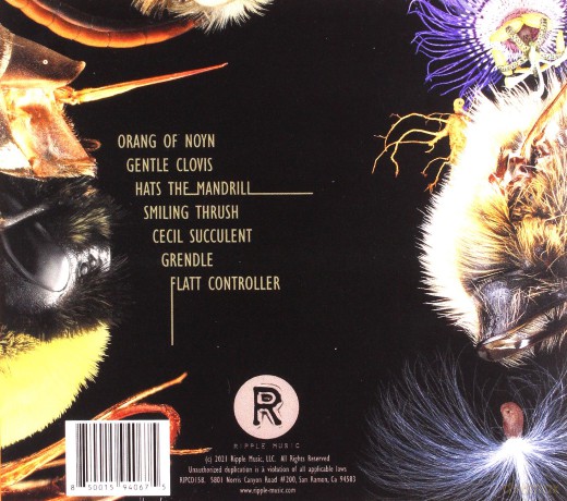 Boss Keloid: Family The Smiling Thrush [CD]