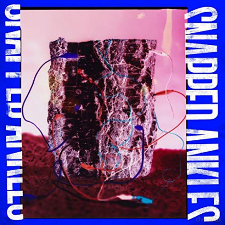 Snapped Ankles: Forest Of Your Problems [CD]