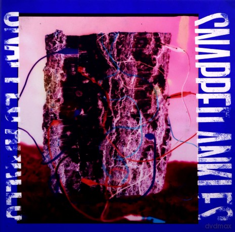 Snapped Ankles: Forest Of Your Problems [CD]